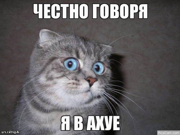 Начался матч Россия — Испания. Давайте дружно болеть!