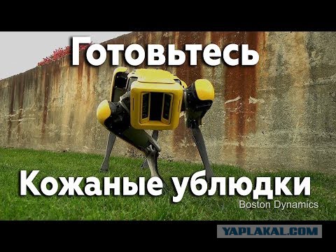 Сосед по пятницам вот так приезжает на такси