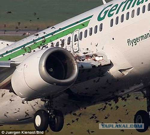 Военный Боинг C-17 пролетел между домами в Австралии, напугав жителей