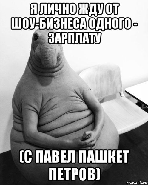 Пашкет, демотиваторы и мемы