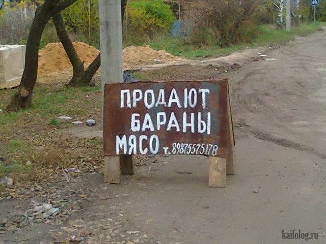 Прикольные надписи и объявления