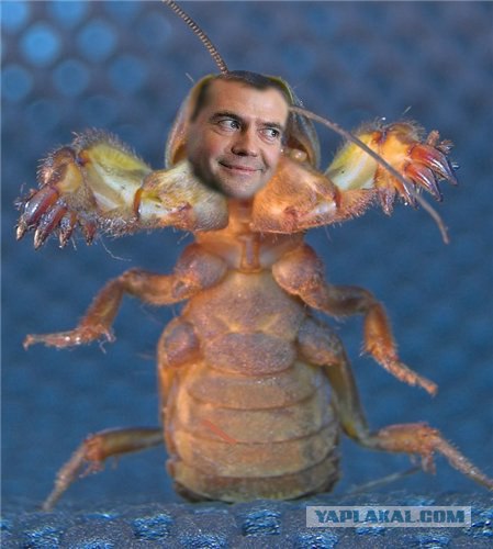 Что это такое? Кто-то знает?