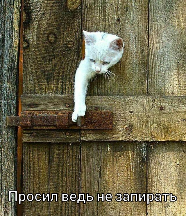 Анекдоты, истории и картинки с надписями