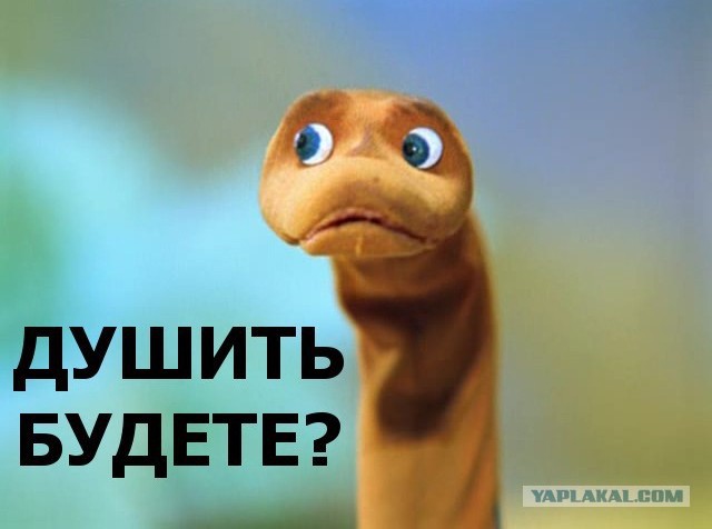 А ну я тоже! Типа я новенькое какбе! Вот.