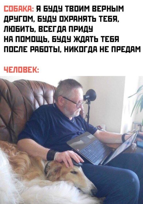 Немного картинок с надписями и без - 25
