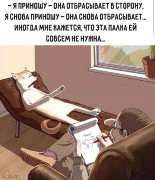 Бредзона 26.10.19