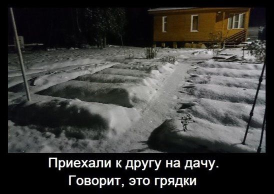 Кретинки