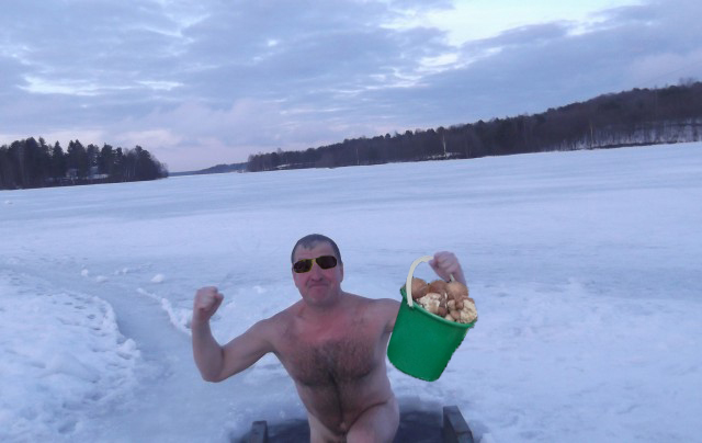 Голый морж