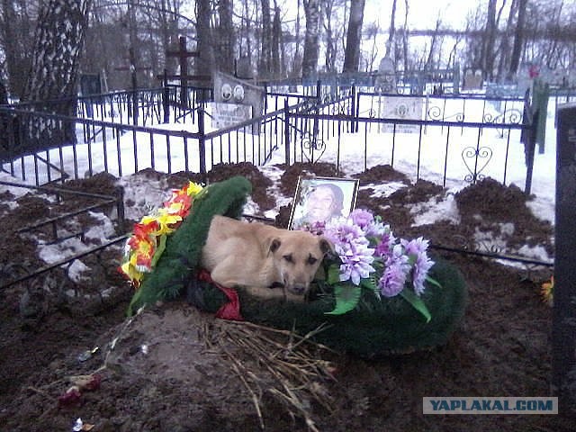 Этот взгляд