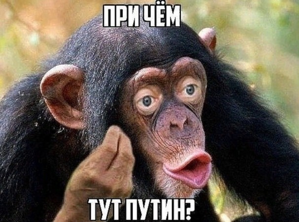 Что-то не то с ценами... И это не шутка