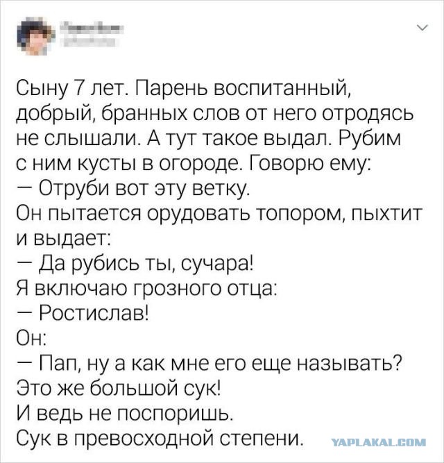 Немного картинок для настроения 23.06.20