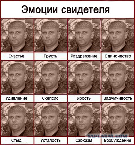Фотожаба: Свидетель из Фрязино