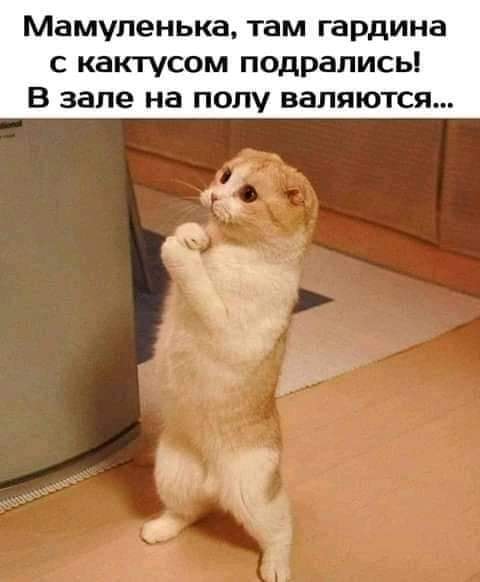 Немного картинок для настроения 117