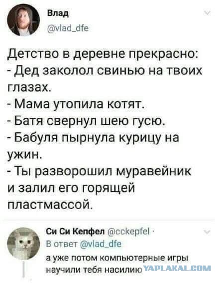 Фотки и картинки: юморные и красивые, забавные и милые 21.09.20