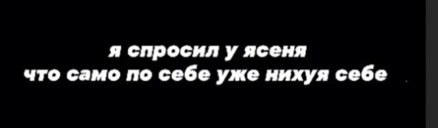 Фотки и картинки: юморные и красивые, забавные и милые 11.11.20