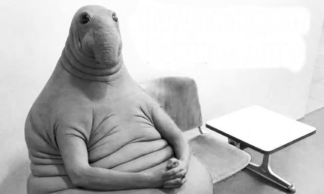 Это невероятно! У нас будет СУПЕРФИНАЛ! Участвуют победители и призёры всех ККК на ЯПе