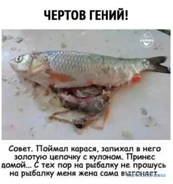Весёлый полтишок 1.04