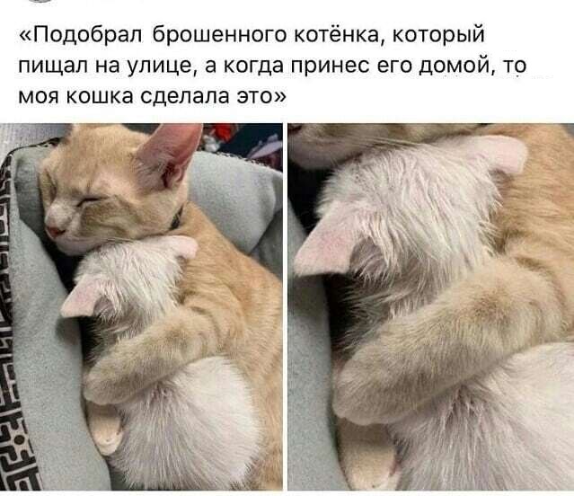 Картинки с надписями и всякие жизненные фразы 27.04.21