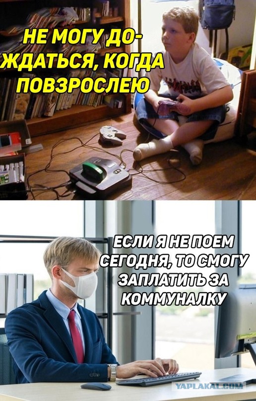 Весёлый полтишок 14.07