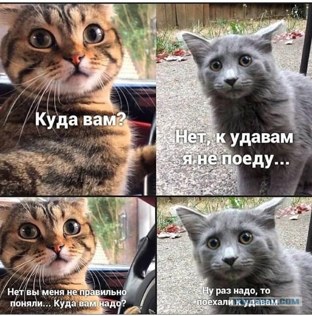 Так себе картинки 13.08.21