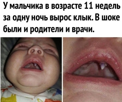 Так себе картинки 28.08.21