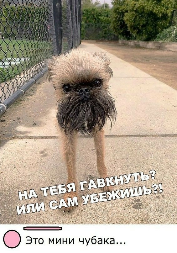 Так себе картинки 09.09.21