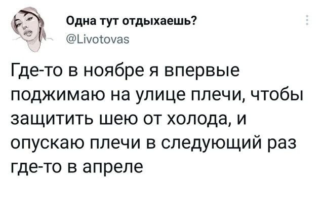 Картинки и мемы для настроения 25.11.2021