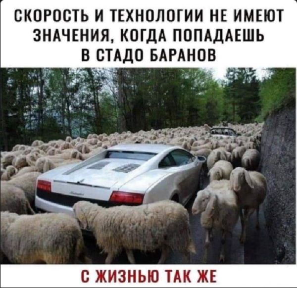 Так себе картинки 10.05.22