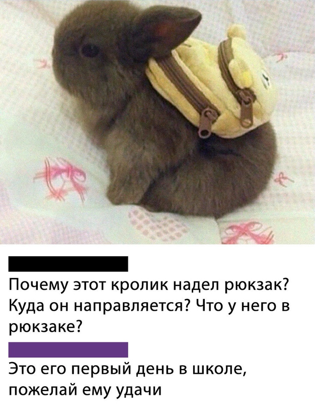 Картинки и мемы для настроения - 15