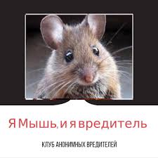 Командир танка