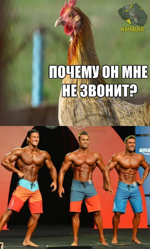 "Кто ты, тварь", сборник мемов про качков
