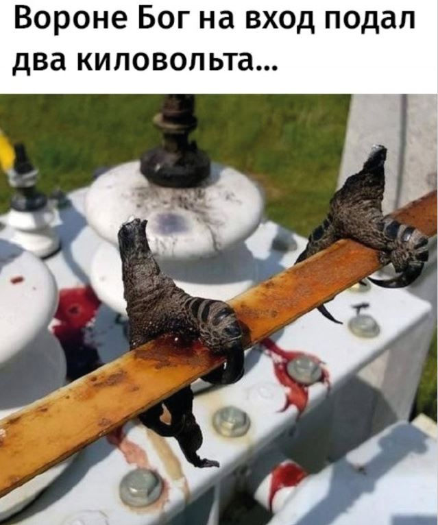 Х*як и ты горняк