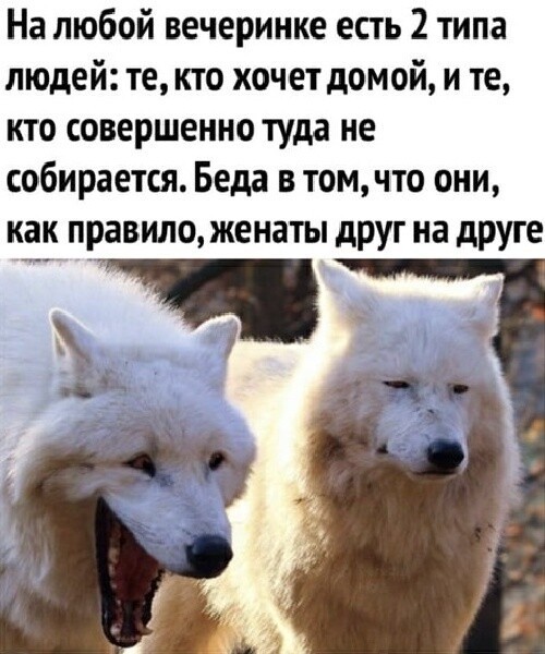 Юмор в картинках и без 12.04