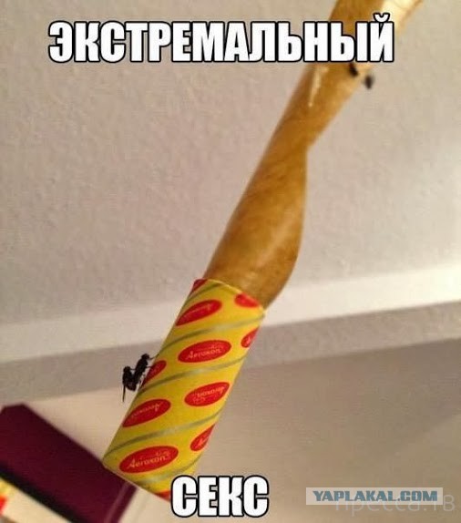 Очень древние баяны