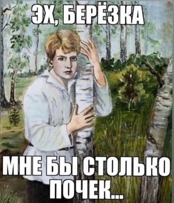 Приколы с налетом деградации