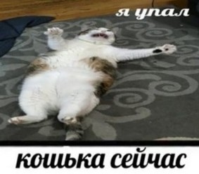 Модель