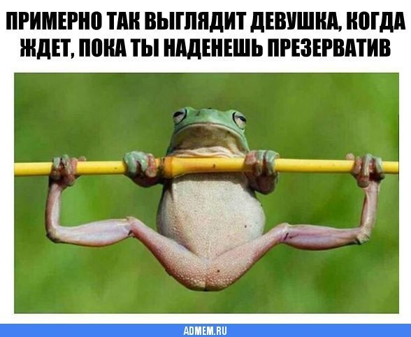 Всего понемногу. От 20.12