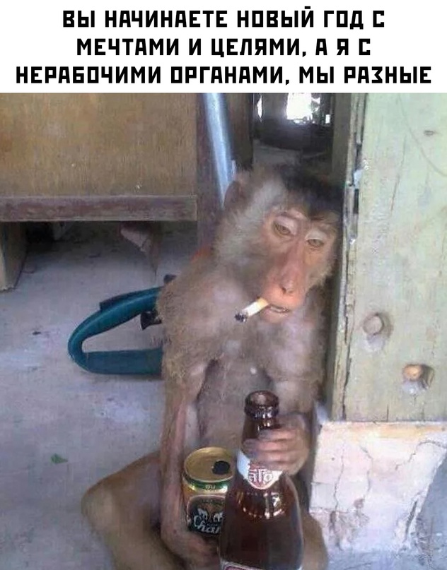 Весёлый полтишок 02.01.24