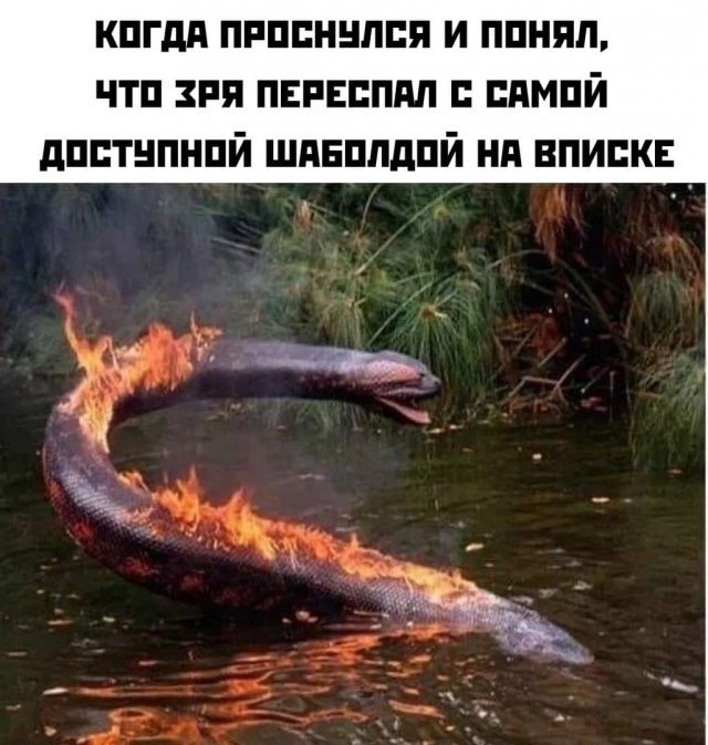 Ура, товарищи! Понедельник!