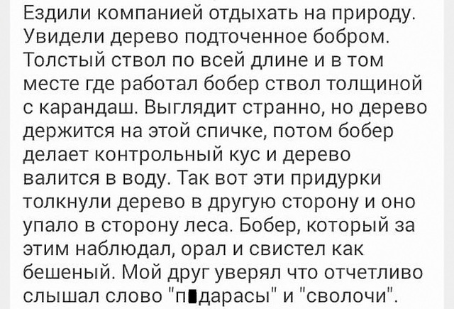 Так себе картинки 18.02.25
