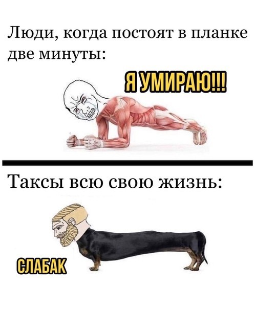 Планка это вам не это