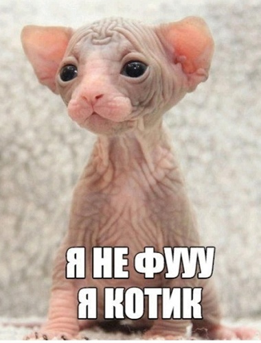 Так вот зачем их заводят