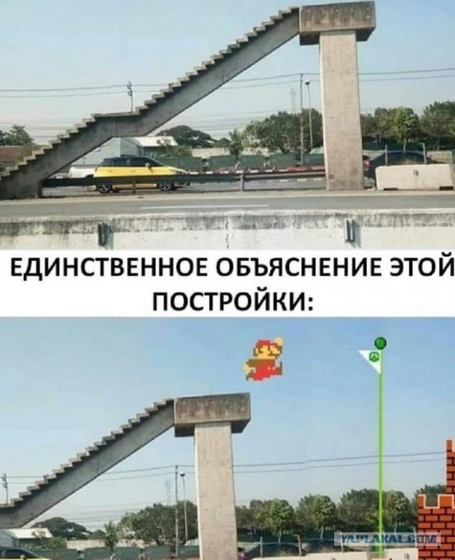 Веселые картинки в пятницу (26.12)