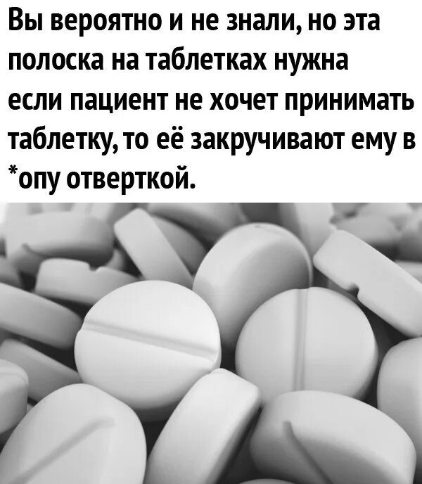 Жри колёса, падла