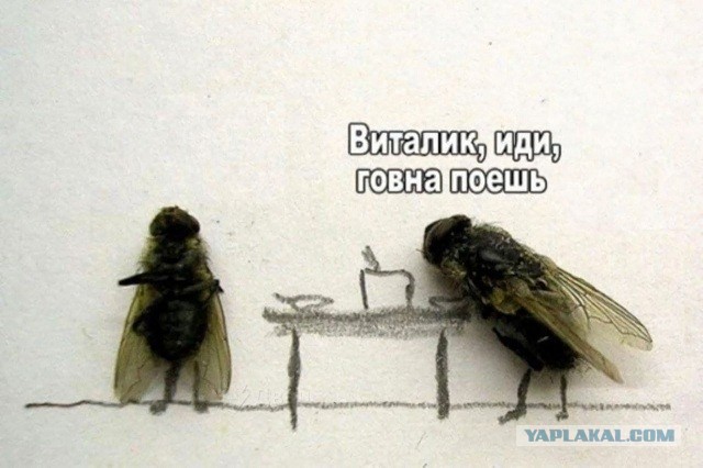 Вечером на лавочке...