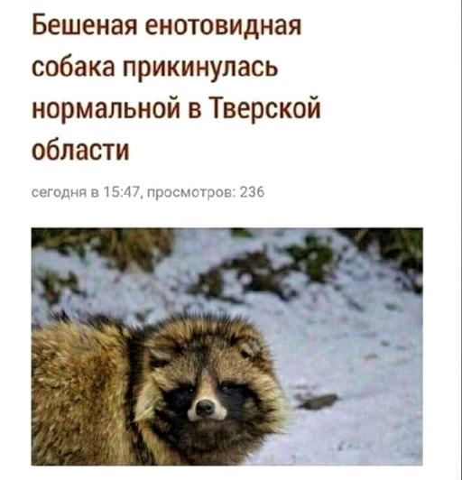 В интернете все смелые