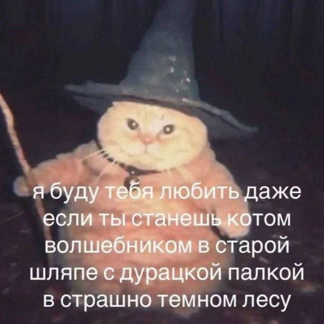 Картиночки, баянчики 19 февраля