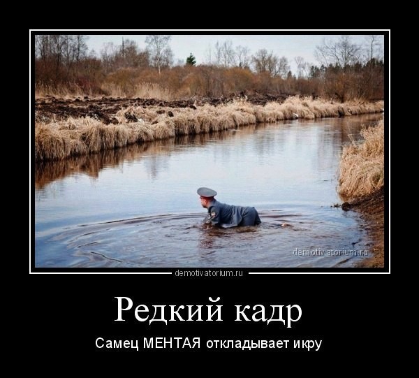 Сбросил клеймо⁠