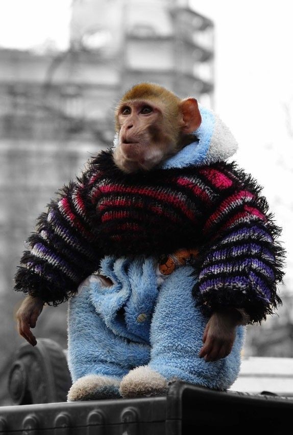 Фото детские