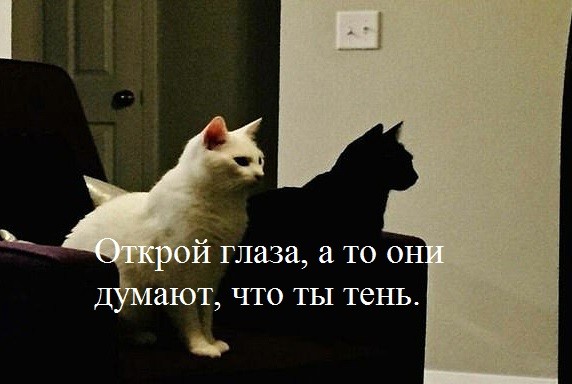 Так теплее)